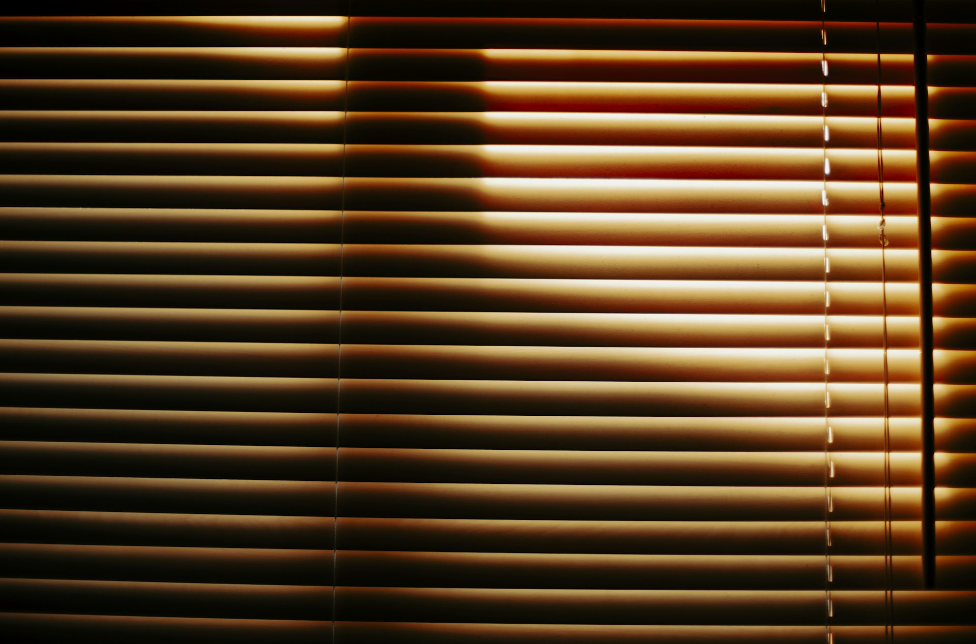 Warm wood horizontal blinds catching low evening light