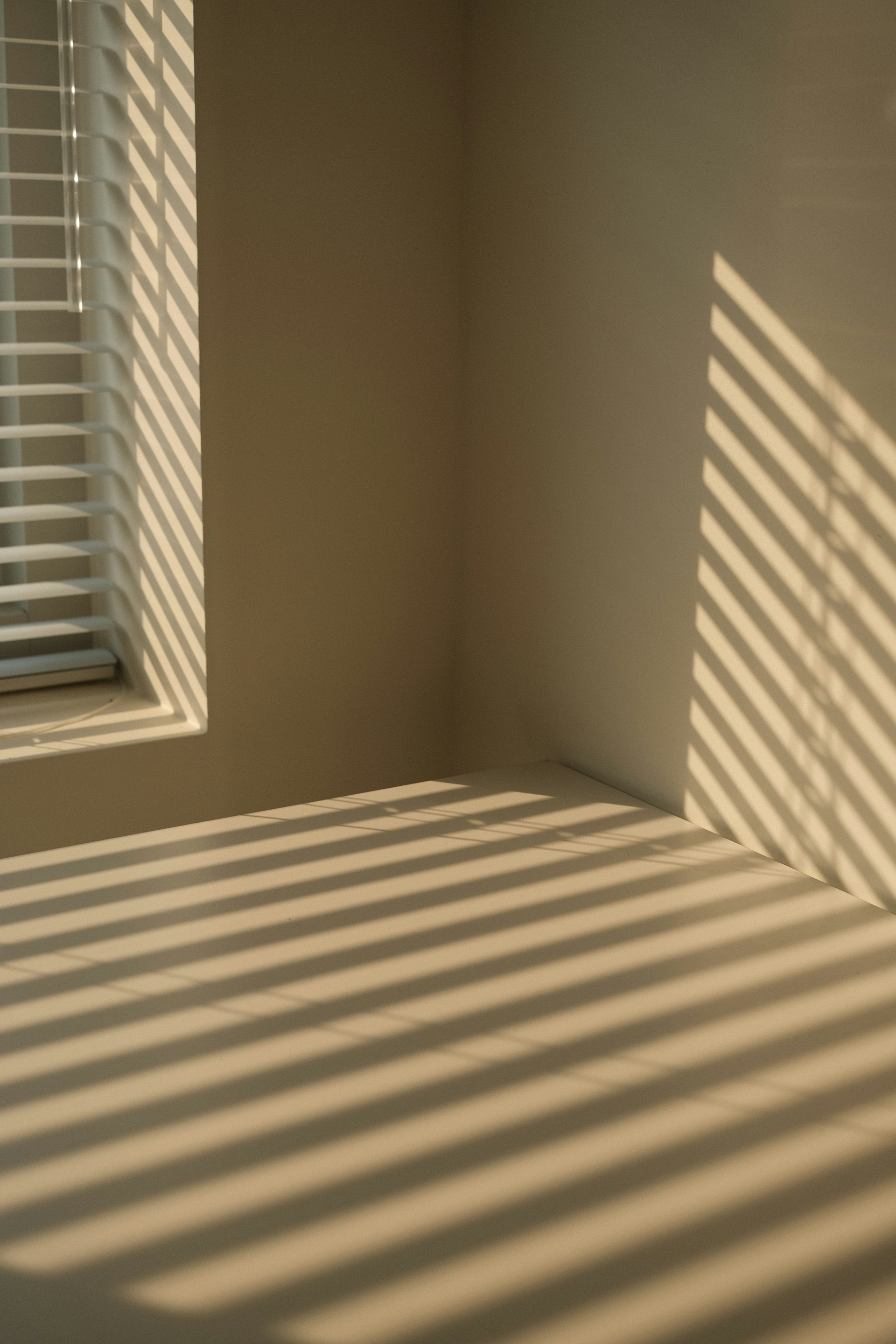 Warm light rays cast across a wall through window blinds