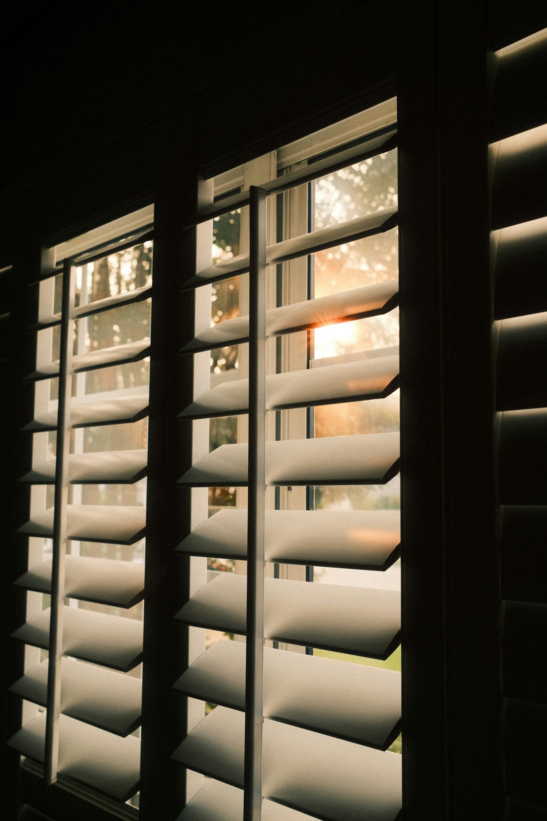 Sunlight filtering through white plantation shutter louvers at golden hour